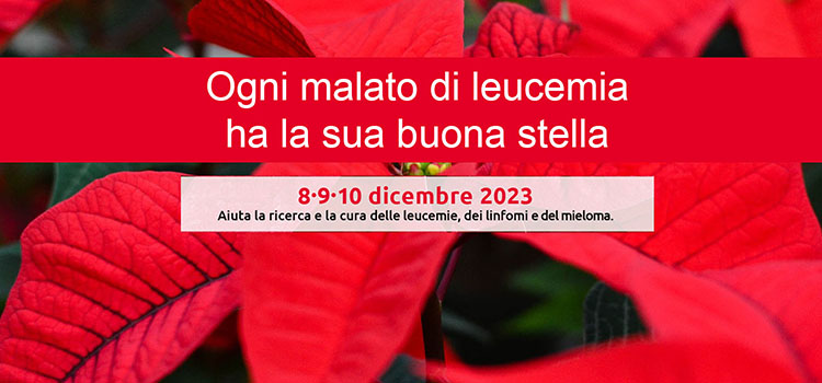 8 / 9 / 10 dicembre, tornano le stelle di Natale AIL